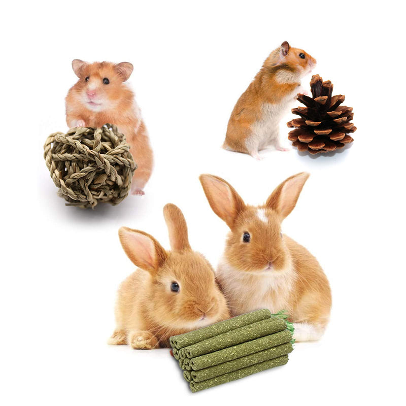 Guinea Pig Toy Bunny Toy Chinchilla Hamster Chew Toy, Organic Natural Apple Wood Dumbells Exercise Bell Roller Ideal for Gerbil，Hamster,Rabbit,Rmall Animal ChewTeeth Grinding(10Pcs) - PawsPlanet Australia