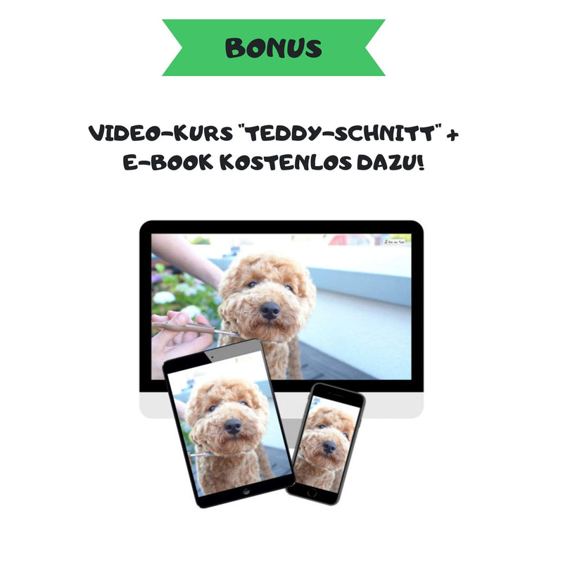 Moki Bear Soft Brush Dog Brush Poodle with Protective Knobs for Particularly Sensitive Animals I Ideal for Non-shedding Dogs I Small S (Pack of 1) - PawsPlanet Australia