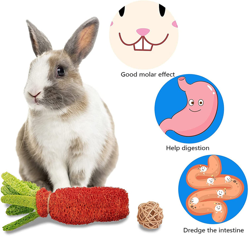 16 PCS Rabbit Toys Bunny Chew for Teeth, Hamster Dental Health 100% Natural Apple Wood Grass Ball String Pet Cage Entertainment Accessories Chinchilla, Guinea Pig, Hamster Degus, Squirrels 16pcs - PawsPlanet Australia