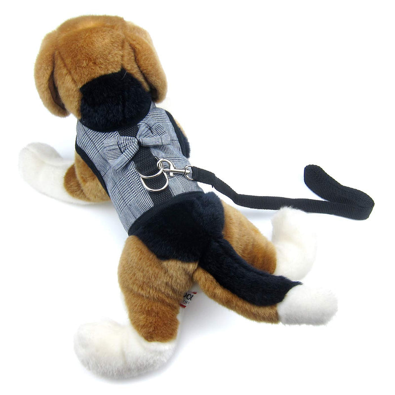 [Australia] - Alfie Pet - Naila 2-Piece Set Harness and Leash Set for Small Animals Like Guinea Pigs and Rabbits Large 