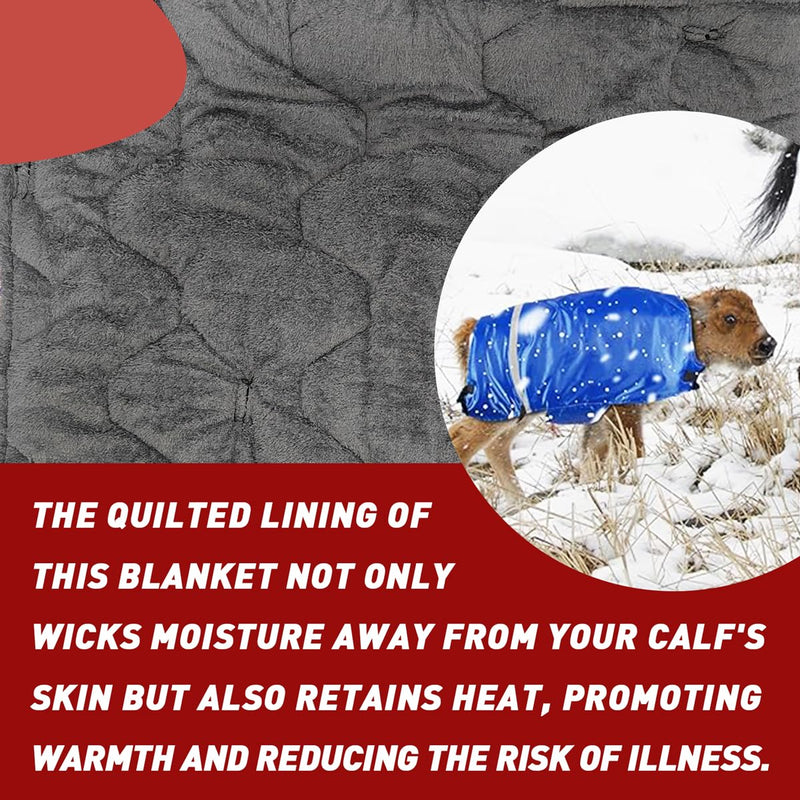 Calf Blanket - Keep Your Calves Warm and Protected with This Cozy Calf Saver Coat - Windproof and Thickened for Ultimate Belly Protection - Ideal for Cows and Goats - 1PCS 1-Pack - PawsPlanet Australia