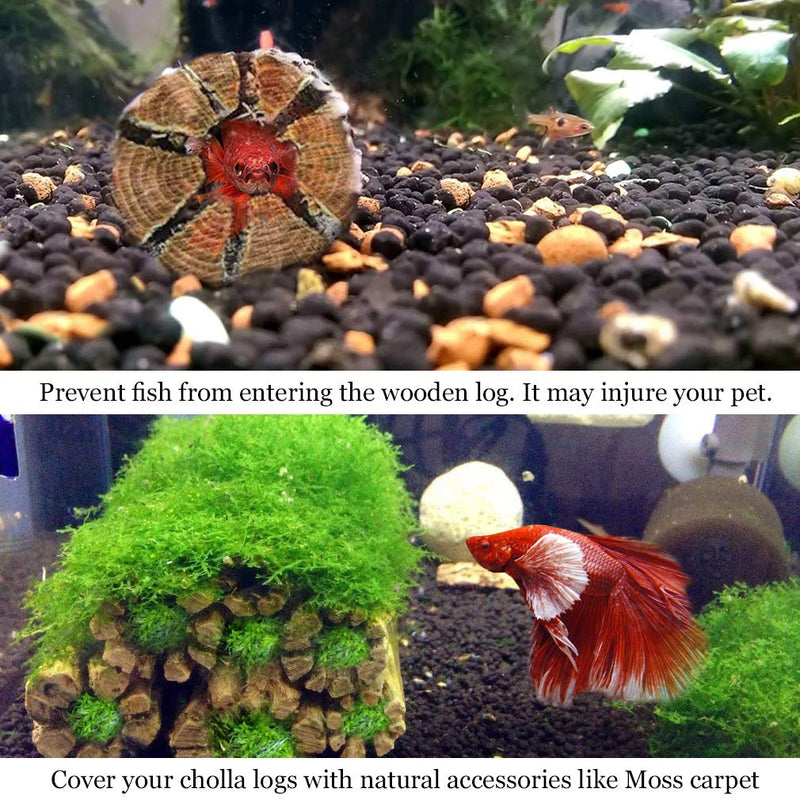 [Australia] - SunGrow Shrimp Woods, 5” Climbing Logs, Chew Toy, Stimulating Activity for Little Climbers, Keep Shrimps Busy and Active, Long Dried Aquarium Décor Adds Raw Beauty, 3 Pcs 