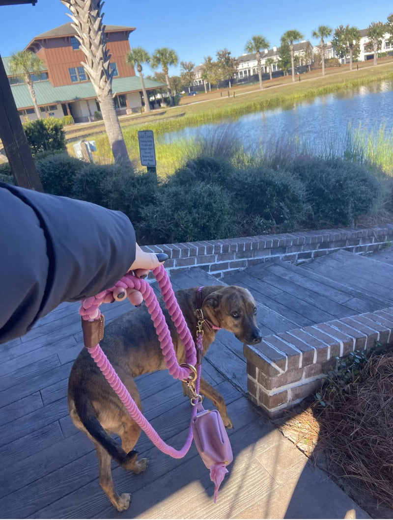 BULPET Eco Friendly Organic Cotton Durable Pink Rope Leash with Brown Leather and Gold Brass Hardware/ 5 and a Half ft/ All Dogs - PawsPlanet Australia