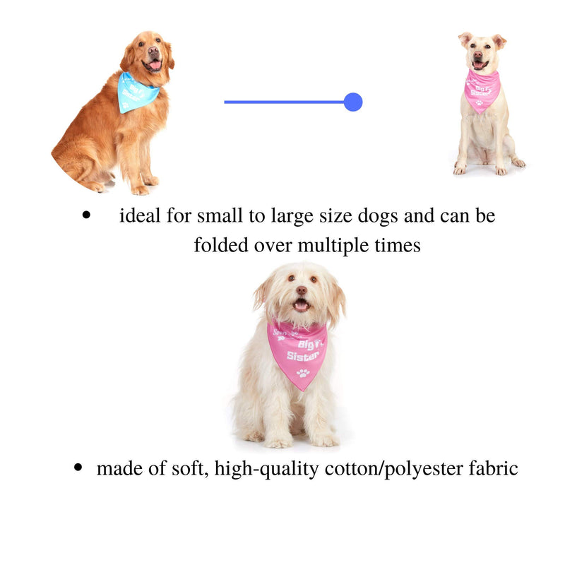 [Australia] - Odi Style Big Sister Dog Bandana - 2 Pack Dog Bandanas Big Sister Printed, Big Sister Bandana for Small, Medium, Large Dogs, Pregnancy Announcement Pet Dog Accessories Scarf, Teal and Pink 