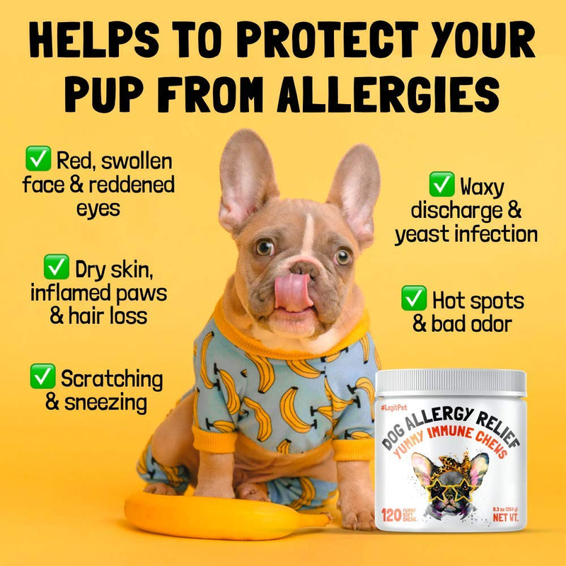 LEGITPET Allergy Relief Chews for Dogs & Immune Support with Kelp, Colostrum & Bee Pollen - for Seasonal Allergies + Anti Itch, Skin Hot Spots Soft Treats - PawsPlanet Australia