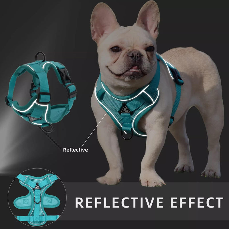 Air Mesh Breathable Chest Harness, Dog Harness with Leash, Soft Adjustable Reflective Anti-Pull Dog Harness, Adjustable Puppy Harness for Medium Small Large Dogs (M) M - PawsPlanet Australia