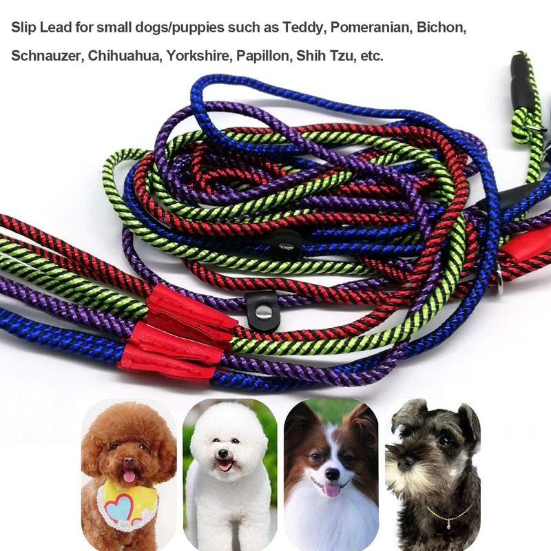 [Australia] - MayPaw Small Dog Slip Lead Leash, 5 Foot Nylon Rope Puppy Leash, Durable Colorful Adjustable Training Pet Leash 1/4 in x 5ft Green 