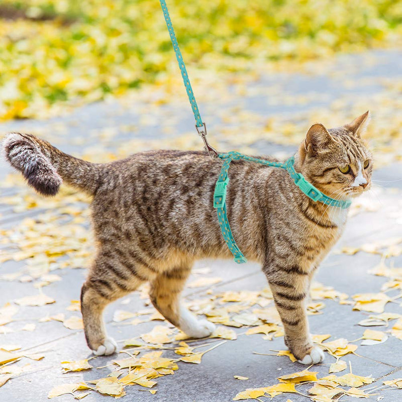 [Australia] - SCIROKKO Cat Harness and Leash Set - Escape Proof Adjustable for Outdoor Walking with Safety Buckle Green 