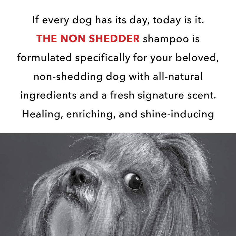 [Australia] - PRIDE AND GROOM - The Non Shedder, Bottle of Pet Shampoo, 16 oz. 