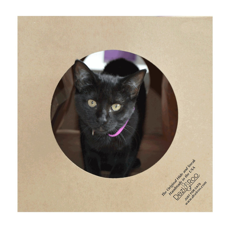 Dezi & Roo Hide and Sneak Collapsible Paper Tunnel - Made in USA - Designed by a Feline Vet - Interactive Cat Toy - Cat Enrichment Toy - Hideaway - PawsPlanet Australia