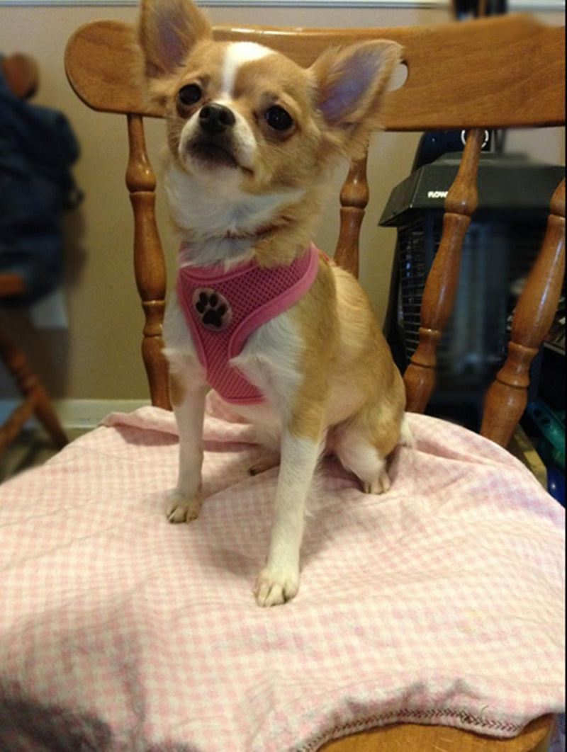[Australia] - BINGPET Soft Mesh Dog Harness Pet Walking Vest Puppy Padded Harnesses Adjustable S Pink 