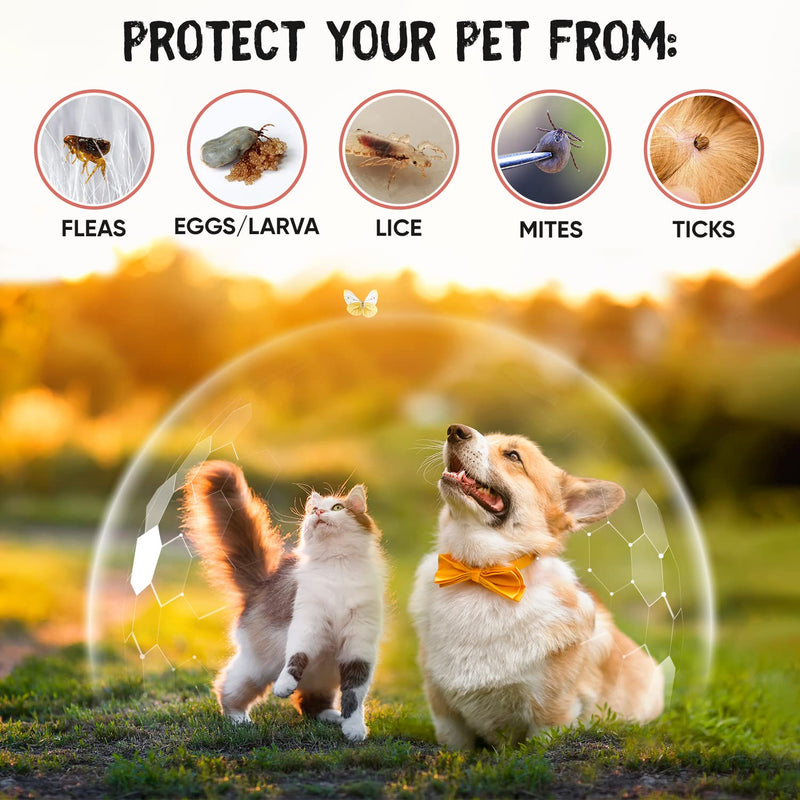 Animigo 'Skin-safe' Tick & Flea Spot On For Dogs & Cats (1-60kg) -6 Pipettes- 120 Days Protection -Citrus Scent- No-Pesticide Dog & Cat Flea Drops -Safe Alternative To Harmful Neurotoxin-based Spot On - PawsPlanet Australia