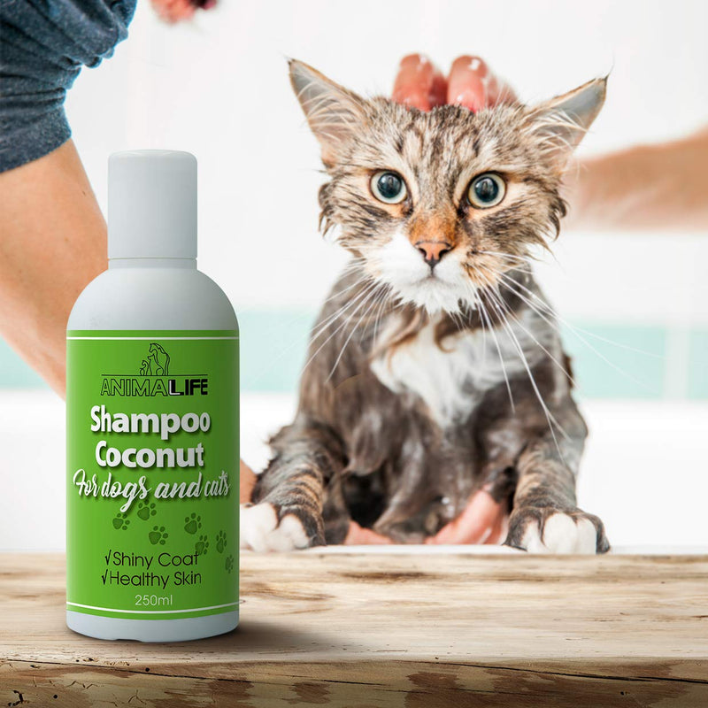 Coconut Oil Shampoo for Dogs & Cats 250ml - Coconut Oil - Ethereal Tea Tree & Rosemary Oil - Nurturing - Easily Combed - Pleasant Smell - Silk Proteins - PawsPlanet Australia