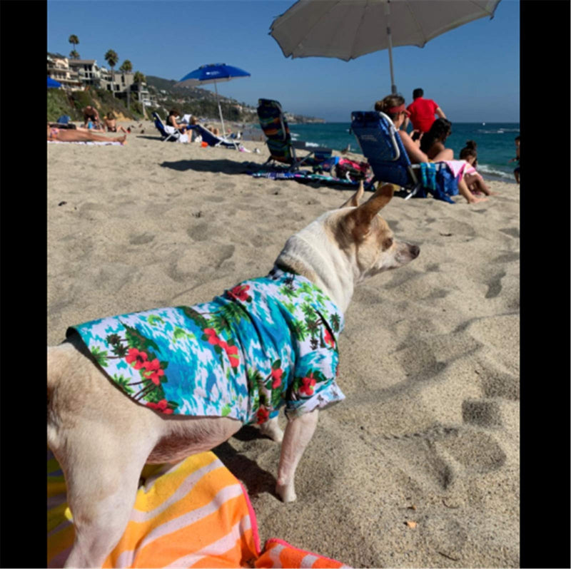 [Australia] - COUTUDI Hawaiian Dog Shirts Aloha Dog Shirt Pet Summer Cool Summer Hawaiian Style Leaf Flower Shirt for Small Puppy Dog Cat XS Blue 