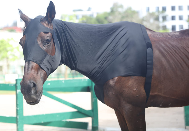 Leberna Lycra Stretch Horse Hood with Zipper - Full Face Neck Coverage M Black - PawsPlanet Australia
