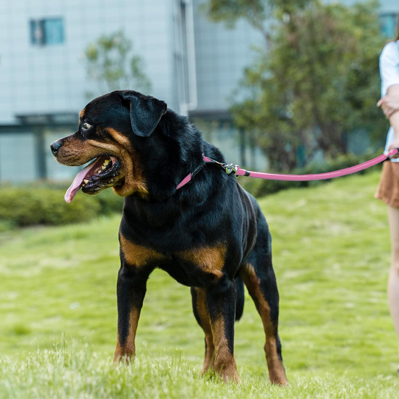 Dog Leash, Braided Rope Traction – Walking Training Lead for Small/Medium Dogs ((1/3") - 6FT, Pink) (1/3") - 6FT - PawsPlanet Australia