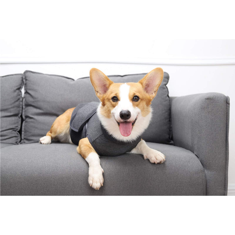 [Australia] - Glorisun Dog Anxiety Shirt - Lightweight Jacket for Canines of All Ages - Calming Compression Shirt Soothes Muscles, Joints, and Pain XS(Back:9.84"-11.81"; Weight:4.4lb-8.8lb) Dark Grey 