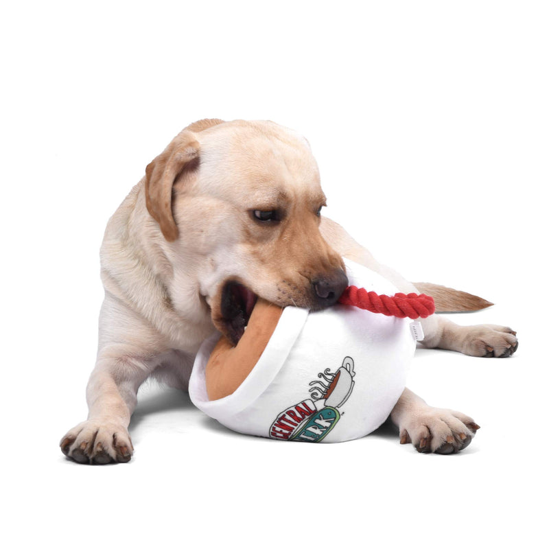 Warner Brothers for Pets Friends TV Show Plush Dog Toy| Cute Squeaky Friends Toy for All Dogs | Stuffed Dog Toys with Squeaker, Friends Memorabilia, Multiple Styles and Sizes 12 in. Central Perk Coffee Mug - PawsPlanet Australia