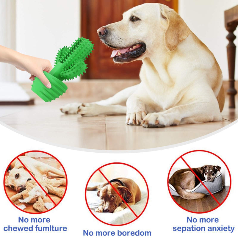 G.C Dog Chew Toys Indestructible Squeaky Toy Cactus Toothbrush Interactive Tough Durable Teeth Cleaning for Aggressive Large Medium Pets Doggy - PawsPlanet Australia