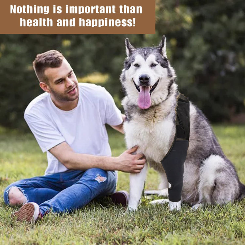 Lineiss Dog Knee Brace Dog Acl Leg Brace Dog Knee Brace for Torn Acl Hind Leg Dog Knee Brace for Luxating Patella Dog Hip Support Brace Adjustable Rear Leg Braces for Dogs Pet Knee Brace Black L - PawsPlanet Australia
