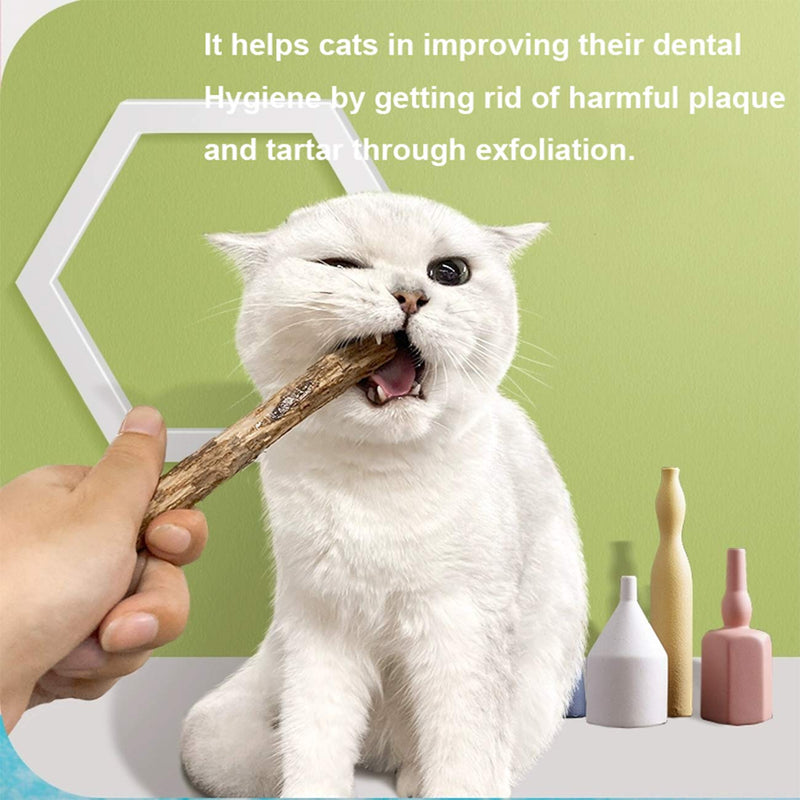 [Australia] - Changeary 36 PCS Cat Catnip Sticks Natural Matatabi Silvervine Sticks for Cats - Kitten Kitty Cat Chew Toy and Cat Cleaning Teeth Molar Sticks 