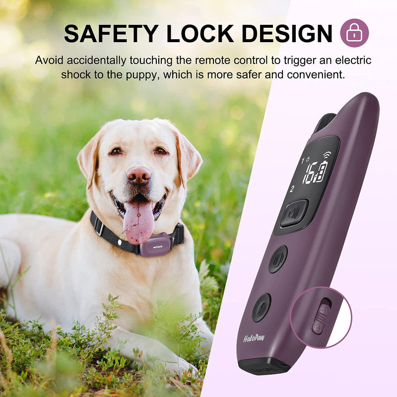 HaloPaw Dog Training Collar Rechargeable IPX7 Waterproof Shock Collars for Dogs with Remote for Large Medium Small Dogs, 3 Training Modes Beep, Vibration and Shock with 16 Static Levels E-Collar - PawsPlanet Australia