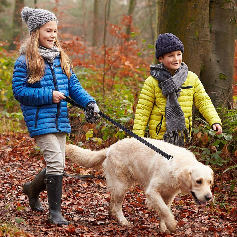 AVANA dog leash with integrated short handle, reflective leash, 2 hand-friendly padded hand loops, 1.5 meter leash for large and medium-sized dogs - black - PawsPlanet Australia