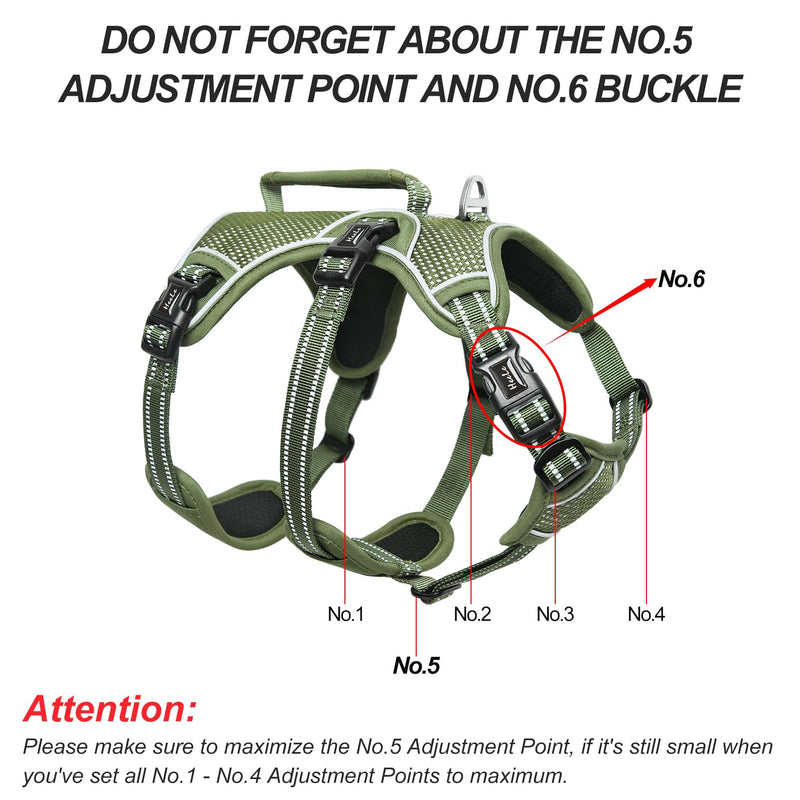 HEELE dog harness, escape-proof, buckle in the neck area, reflective, chest harness with robust handle, panic harness for dogs, dog harness with a stable impression, fits like a glove, green, M - PawsPlanet Australia