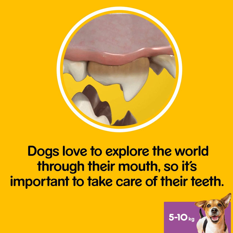 Pedigree Dentastix, Daily Dental Care Chews for Small Dogs 5-10 kg, 28 Sticks - PawsPlanet Australia