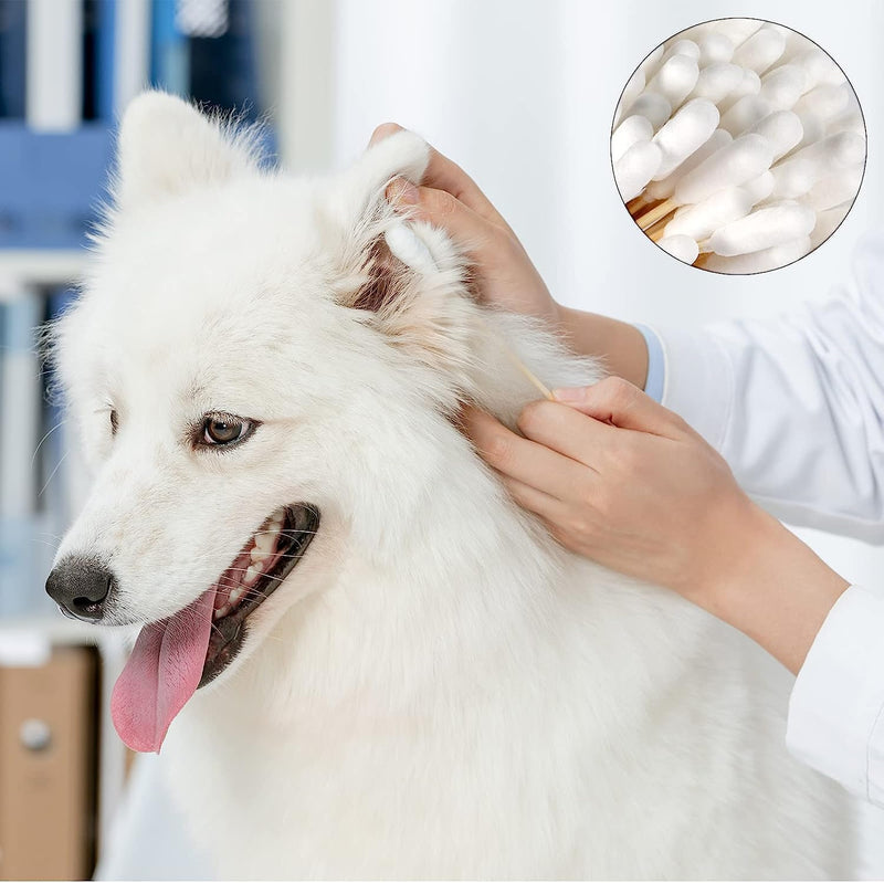 Pet cotton swabs, pet grooming scissors, ear cleaner for pets, cleaning clamp ear hair, 100 pieces 15 cm dog cotton swabs and 1 PC arterial clamp for pets, dogs, cats - PawsPlanet Australia