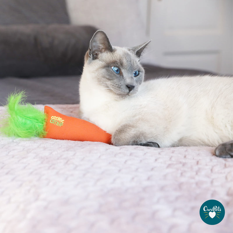 OurPets 100% North American Catnip Filled Cat Toys (Interactive Cat Toys for Indoor Cats, Kitten Toy, Cat Chew Toy & Catnip Toys for Cats) Great for Cats who enjoy Catnip & Interactive Cat Toys 24 Karat - PawsPlanet Australia