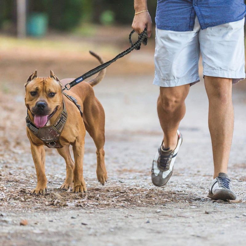 [Australia] - WALKTOFINE 4.5FT Bungee Dog Leash for Large Breed Dogs, Anti-Pull for Shock Absorption with Car Seat Belt, Heavy Duty Training Dog Leash Army Yellow 