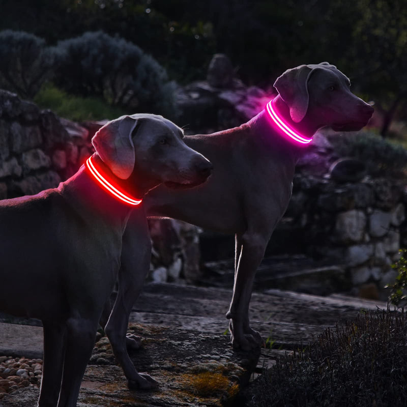 Dog Collar Luminous Rechargeable, Luminous Collar Dog Waterproof Adjustable Flashing Light LED Collar Dog for Small Medium Large Dogs, Visibility in the Dark, Pink-M M(38-50cm/15-19.7inch) - PawsPlanet Australia