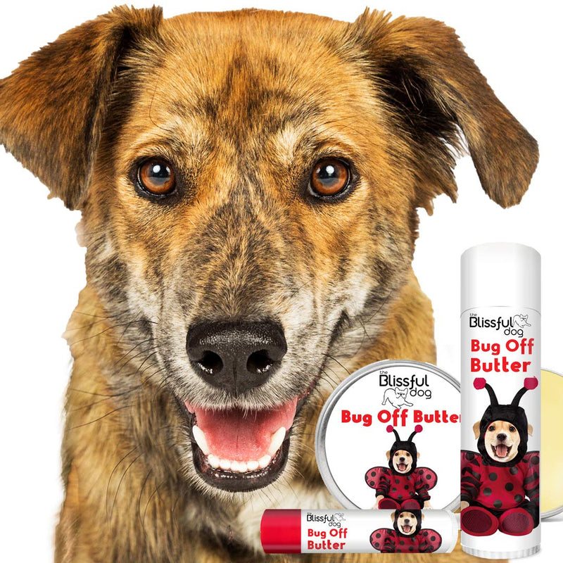 [Australia] - The Blissful Dog Bug Off Butter, Herbal Balm to Banish Biting Bugs from Your Dog 8-Ounce Mixed Breed 