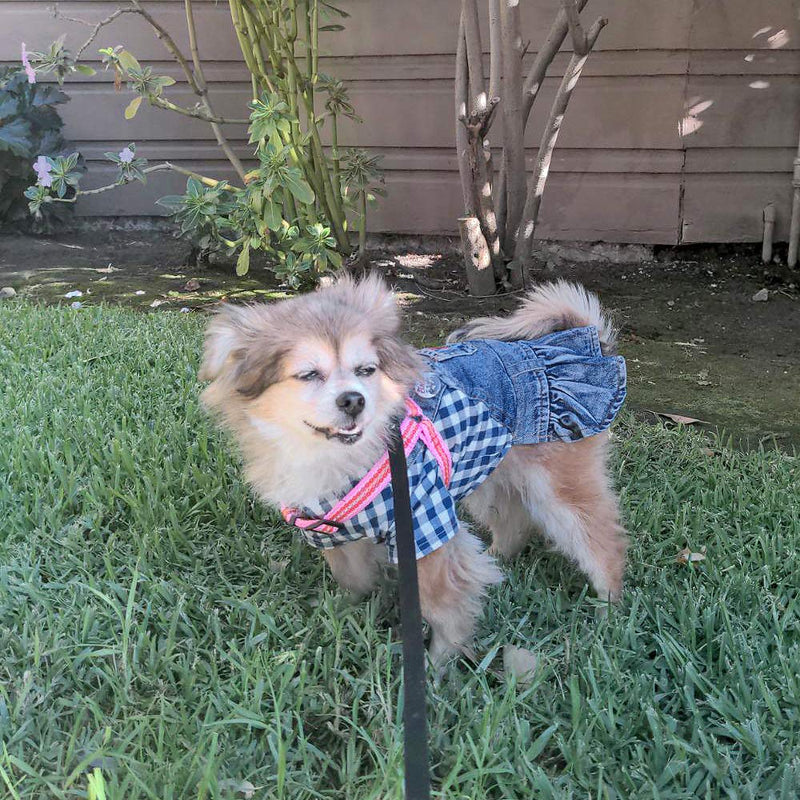 SILD Pet Clothes Dog Jeans Dress Classic Hoodie Stripe Dress for Small Medium Dog Cat Adorable Puppy Outfits L Blue plaid - PawsPlanet Australia