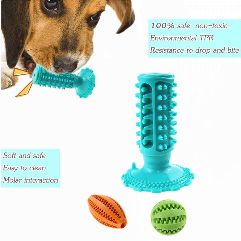 Dog Toy Set Dog Chew Toy Squeak Toys for Dogs Indestructible Dog Toothbrush Toy Dog Puzzle Toy Set Interactive Dog Toys Suitable for Small and Medium Dogs 3 Pack Blue - PawsPlanet Australia