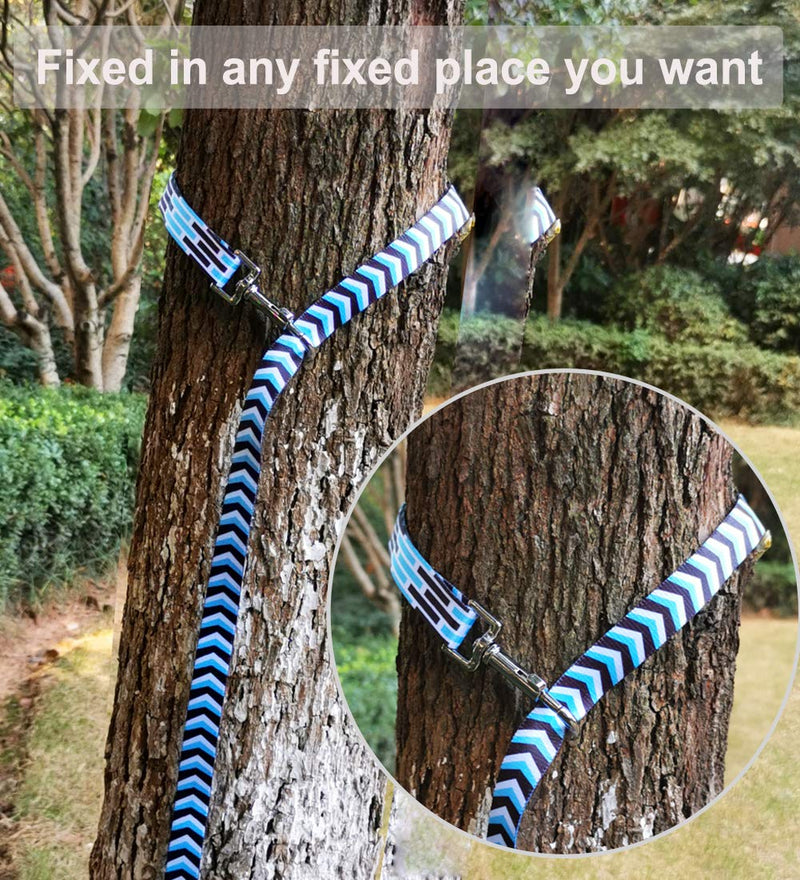 [Australia] - Mycicy Colorful Nylon Long Dog Leash Obedience Recall Training Agility Lead，12ft 20ft 30ft 50ft Training Leash for Small Medium Large Dogs, Pattern Printer 12 Feet*3/4in Blue 