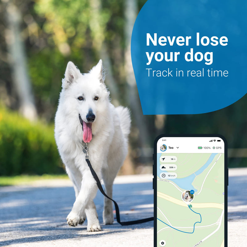 Tractive GPS DOG 4. Dog Tracker. Always know where your dog is. Keep them fit with Activity Monitoring. Unlimited range. (Midnight Blue) - PawsPlanet Australia