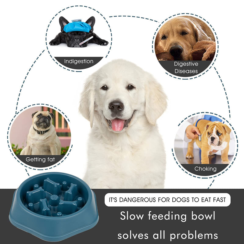 DPOEGTS Slow Feeder Dog Bowl, Puzzle Dog Food Bowl Anti-Gulping Interactive Dog Bowl and Water Dog Bowl for Small/Medium Sized Dogs Bone-Blue - PawsPlanet Australia