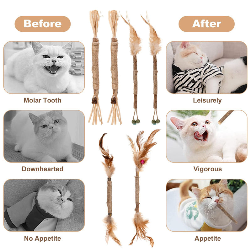 FRIUSATE Pack of 6 catnip sticks, 15 Matatabi cat chewing sticks, cat dental care toys, chewing sticks for cats, Silvervine sticks for cat dental care and against bad breath - PawsPlanet Australia