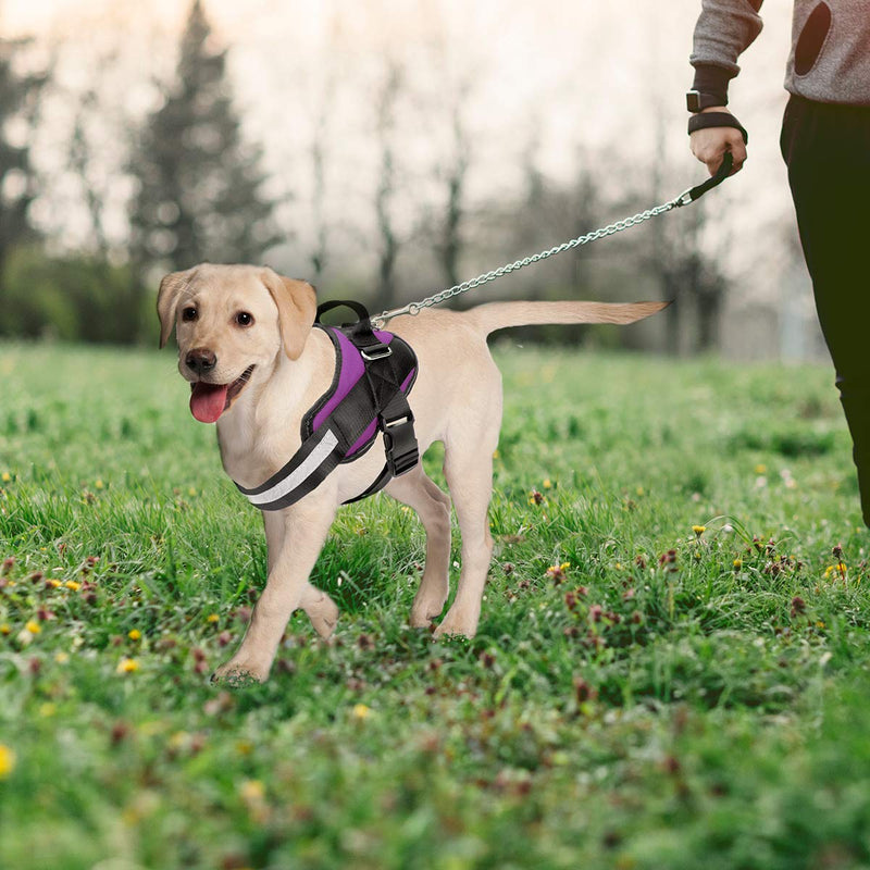 [Australia] - Bolux Service Dog Harness, Easy On and Off Pet Vest Harness, 3M Reflective Breathable and Easy Adjust Pet Halters with Nylon Handle for Small Medium Large Dogs - No More Pulling, Tugging or Choking XL:(chest 25.2-33''/neck 23.6-28.3'') Rose 