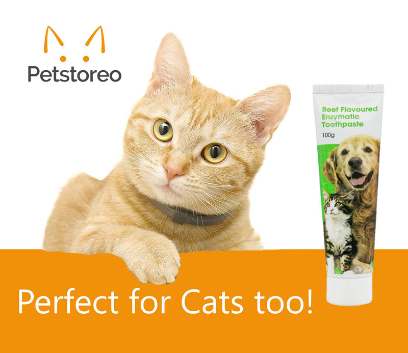 Petstoreo Enzymatic Dog Toothpaste - Used by UK Vets - 100g - Beef Flavour - Suitable for Cats - PawsPlanet Australia