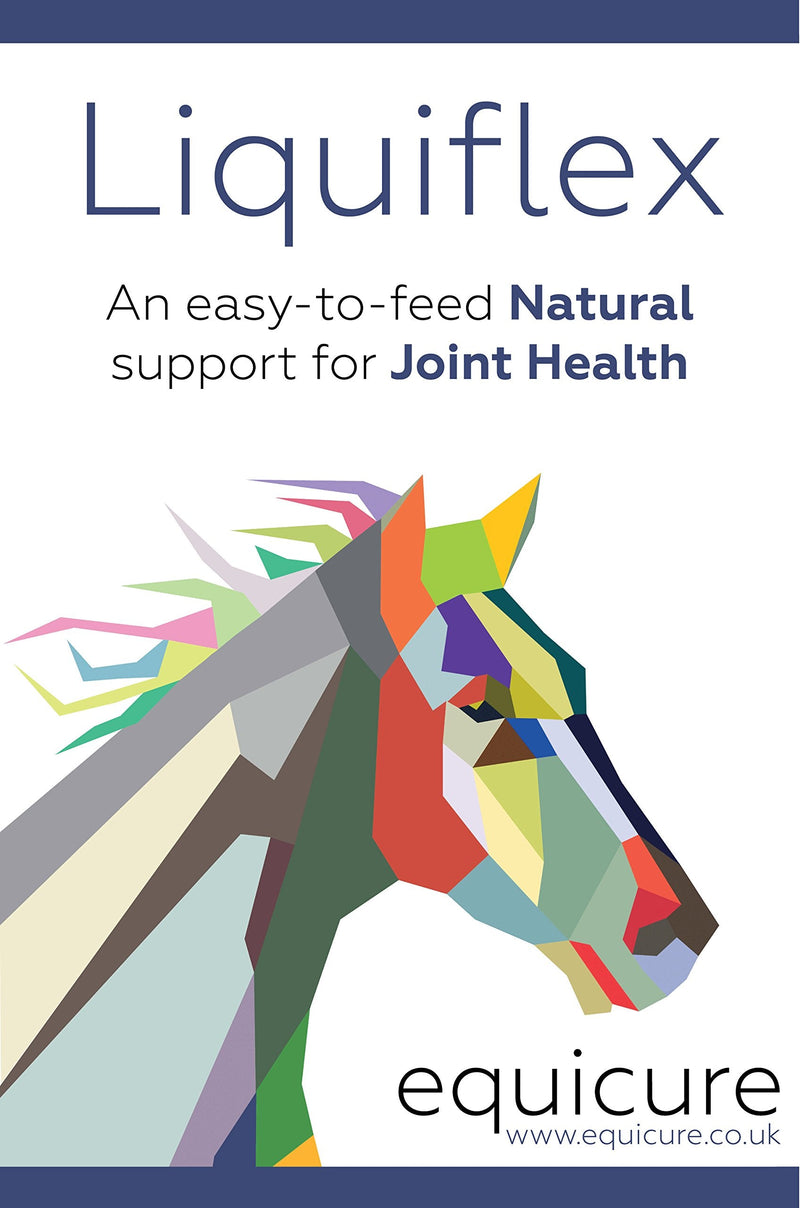 Equicure LiquiFlex - Natural Joint Support for Horse / Pony (1 Litre) - PawsPlanet Australia