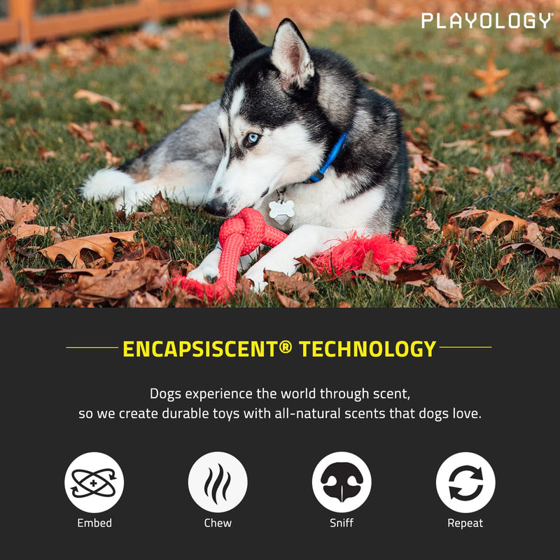 Playology Dri-Tech Ring Dog Toy - Engaging All-Natural Scented Dog Toys for Small, Medium & Large Dogs - Interactive & Tough Non-Toxic Chew Toys for Teething Medium Rope Beef - PawsPlanet Australia