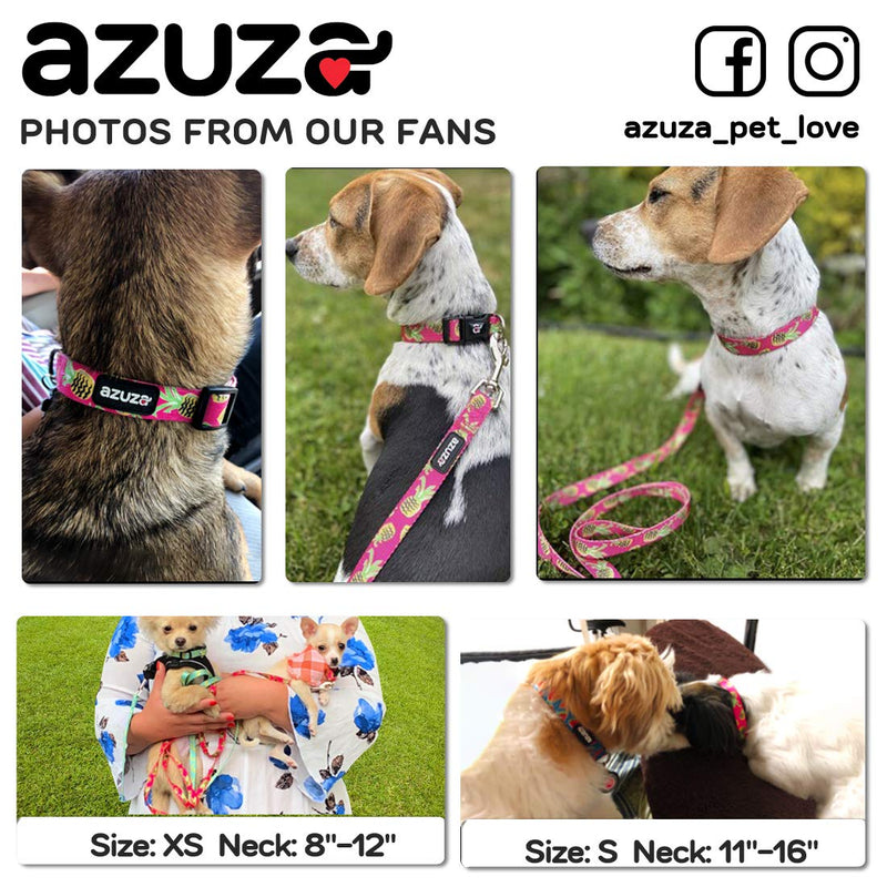 azuza Dog Collar and Leash Set, Pineapple Patterns on Nylon Collar and Matching Leash, Great Option for Extra Small Dogs XS(Neck: 8"-12") - PawsPlanet Australia