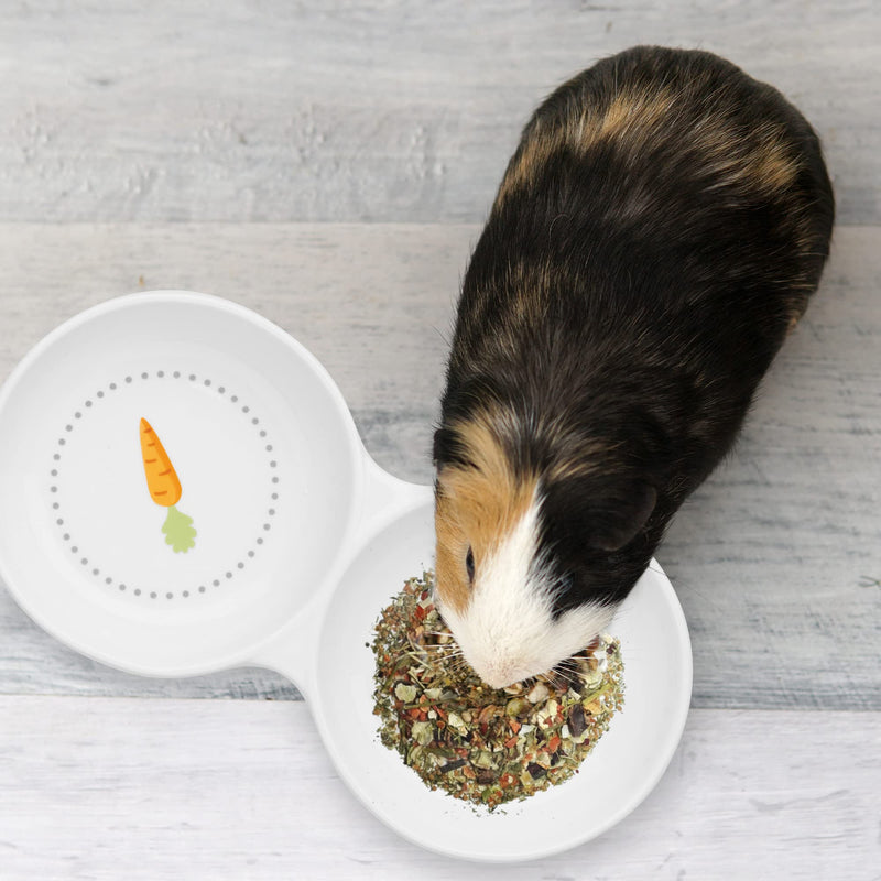 Navaris Double Food Bowl for Small Animals - Ceramic Food Bowls for Rabbits, Guinea Pigs, Small Pets - Rabbit Water Dish - Carrot and Grass Design - PawsPlanet Australia