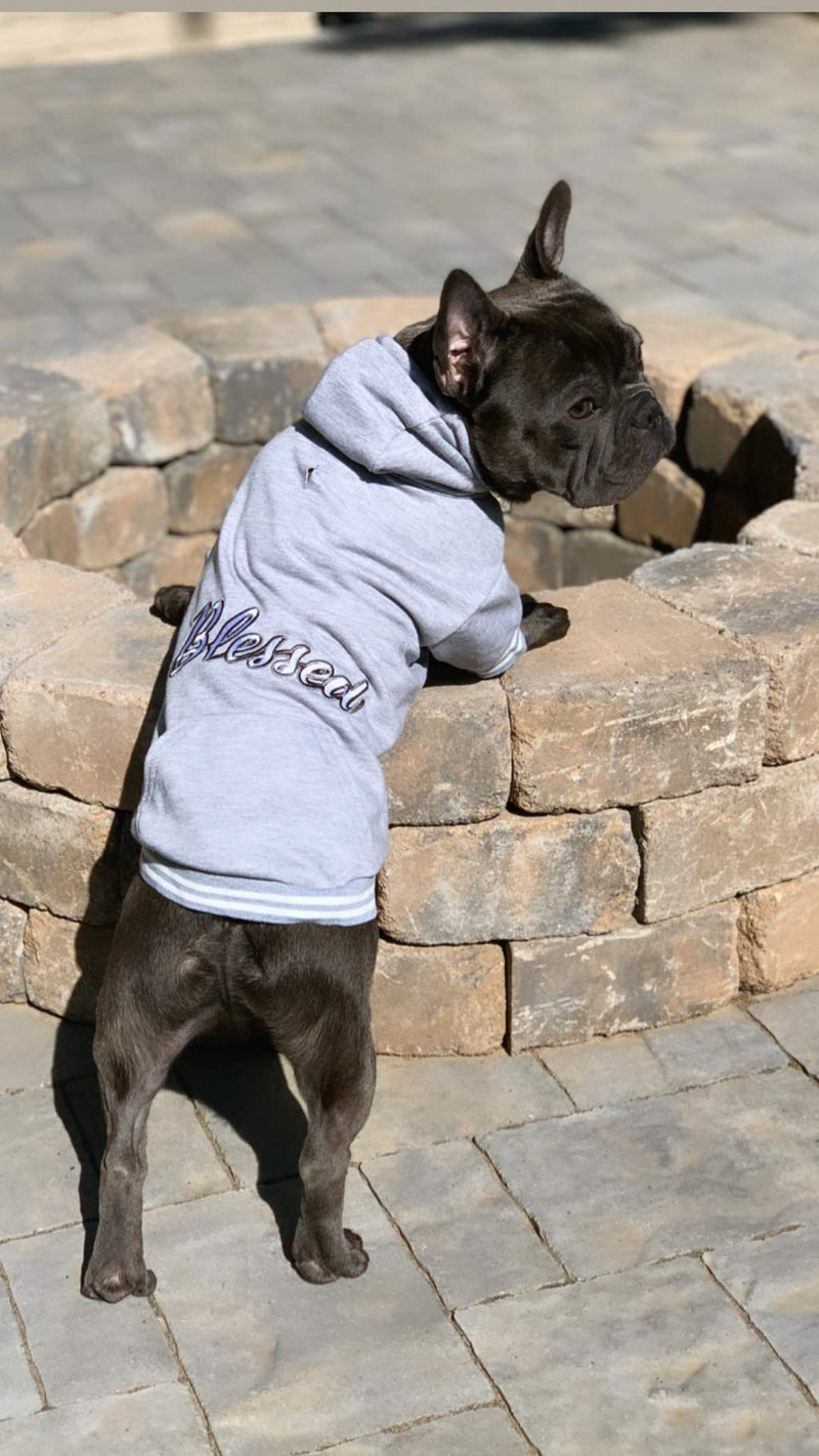 Parisian Pet Dog Blessed Hoodie Sweatshirt Pullover Winter Sweater, S - PawsPlanet Australia