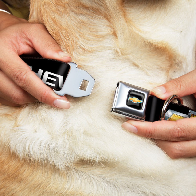 [Australia] - Buckle-Down Dog Collar Seatbelt Buckle Chevrolet Bowtie Black Gold White Available in Adjustable Sizes for Small Medium Large Dogs 1" Wide - Fits 15-26" Neck - Large 