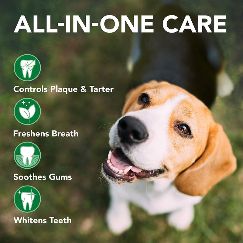 Vet's Best Natural Dental Powder for Dogs |Clean Teeth and Fresh Breath - 90 g - PawsPlanet Australia