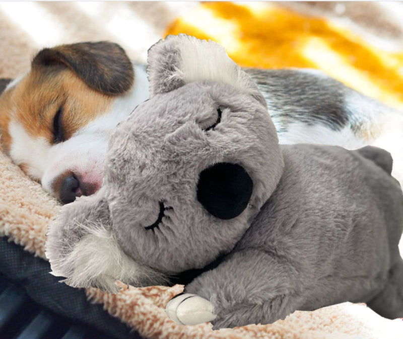 PULEIDI Puppy Heartbeat Toy - Heartbeat Dog Toy for Puppy Dog Cat Behavioral Training Aid Toy Puppy Heartbeat Stuffed Animal with Automatic Heartbeat Simulator for Sleep Aid Separation Anxiety Koala toy - PawsPlanet Australia